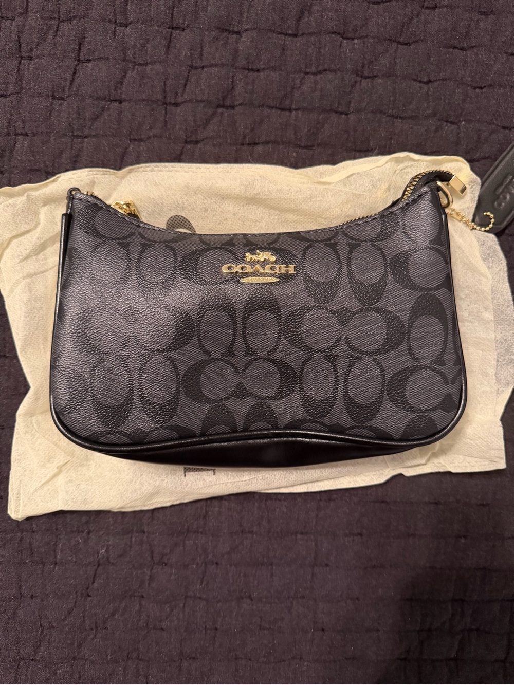 Coach Black Signature Canvas Mini Shoulder Pouch with Gold Logo